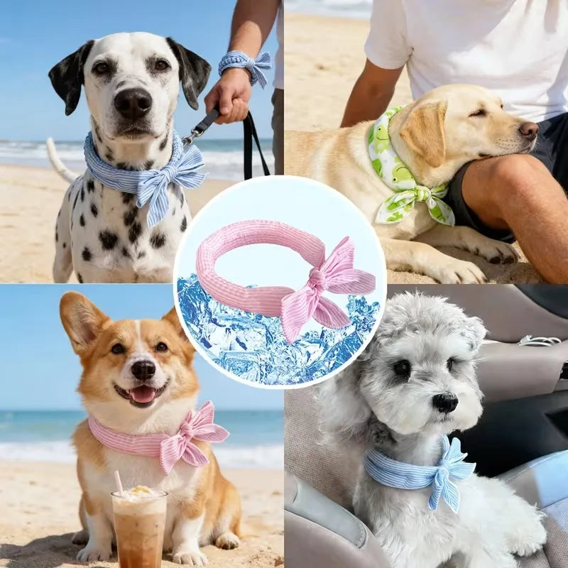 Cooling Bandana for Dogs & Cats