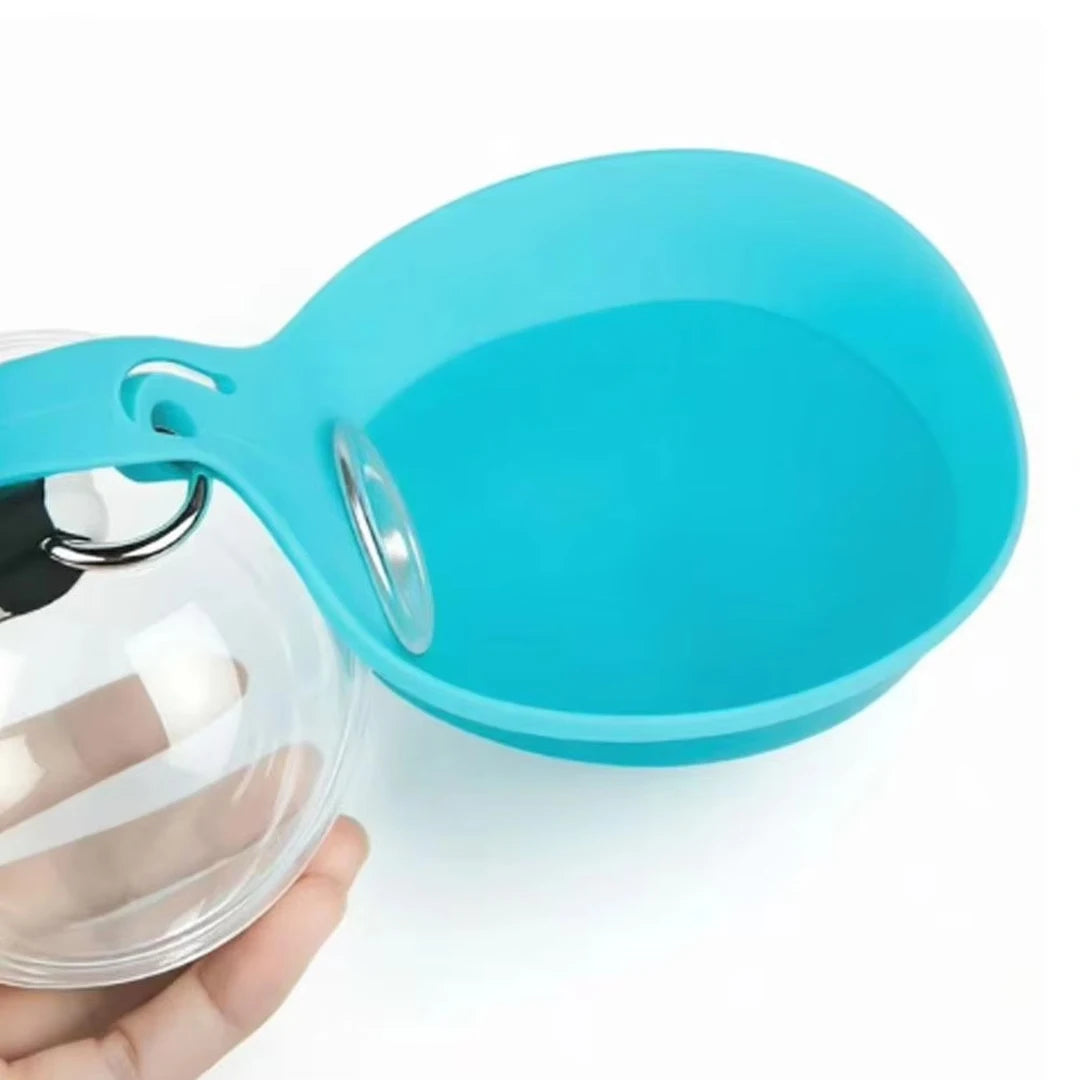Travel Water Bottle & Bowl
