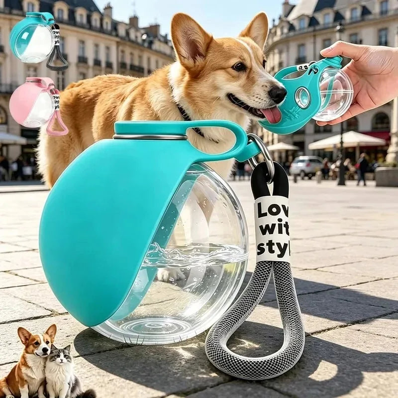 Travel Water Bottle & Bowl