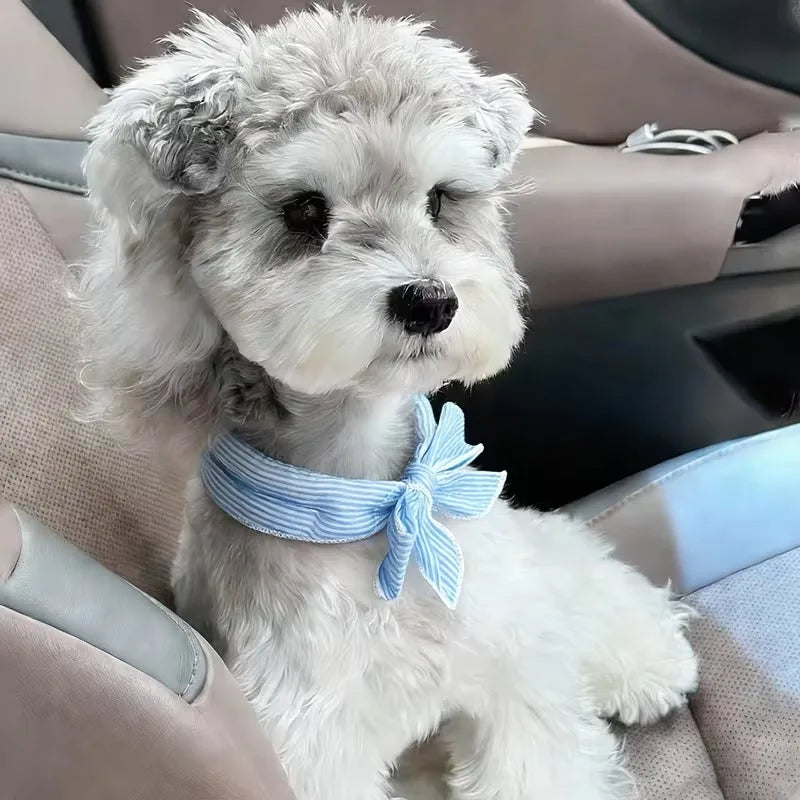 Cooling Bandana for Dogs & Cats